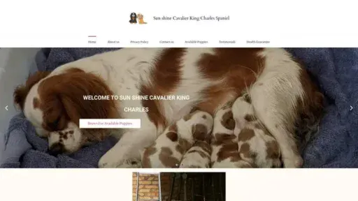 Screenshot of