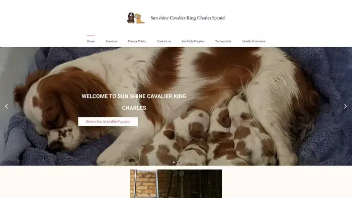 Screenshot of