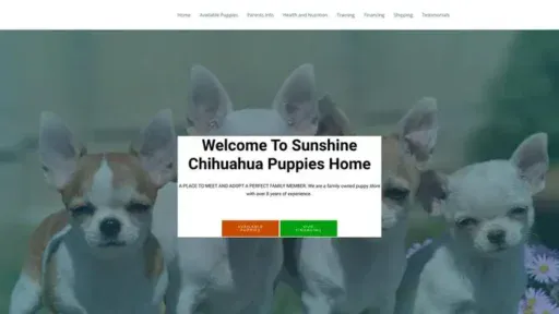 Screenshot of