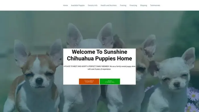 Screenshot of