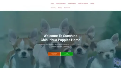 Screenshot of