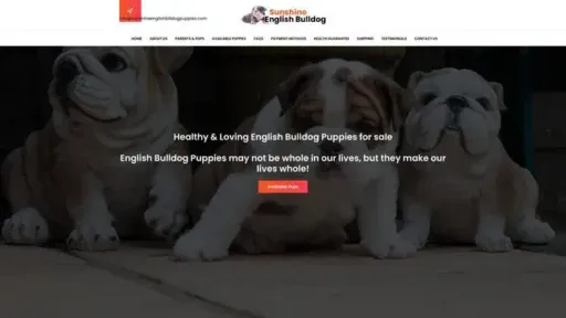 Screenshot of