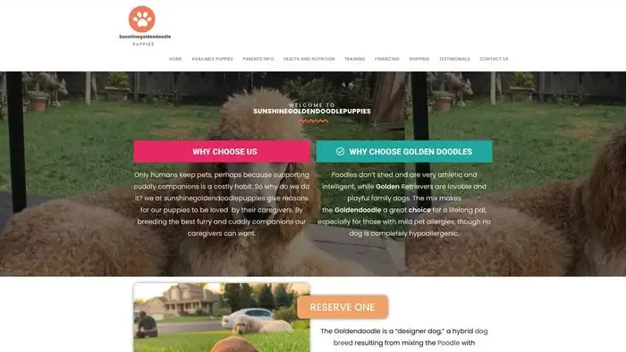 Screenshot of