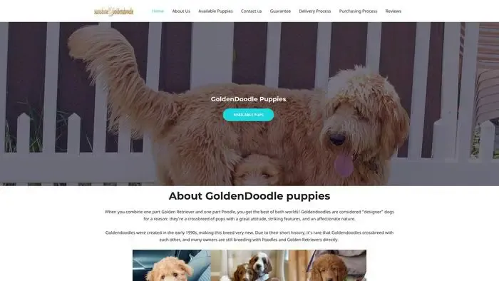 Screenshot of