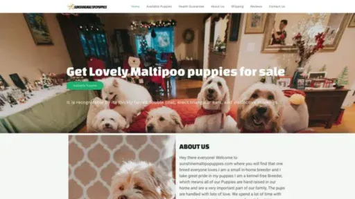 Screenshot of||