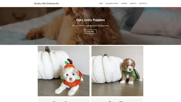 Screenshot of