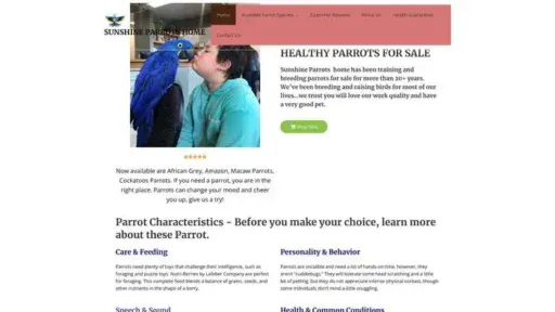 Screenshot of