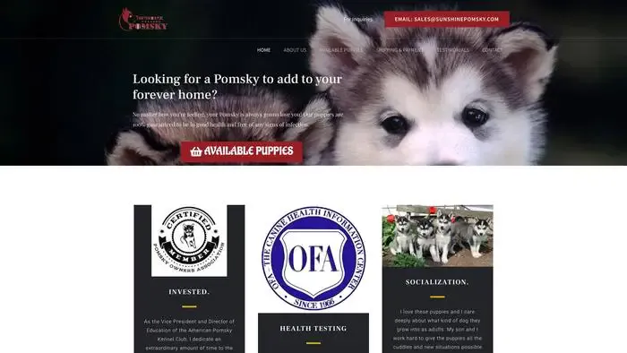 Screenshot of