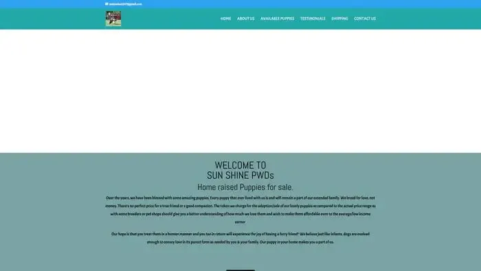 Screenshot of