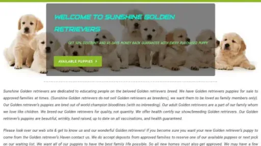 Screenshot of