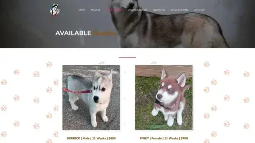 Screenshot of
