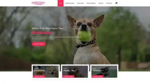 Screenshot of