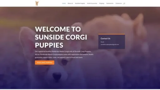 Screenshot of