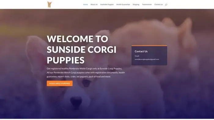 Screenshot of