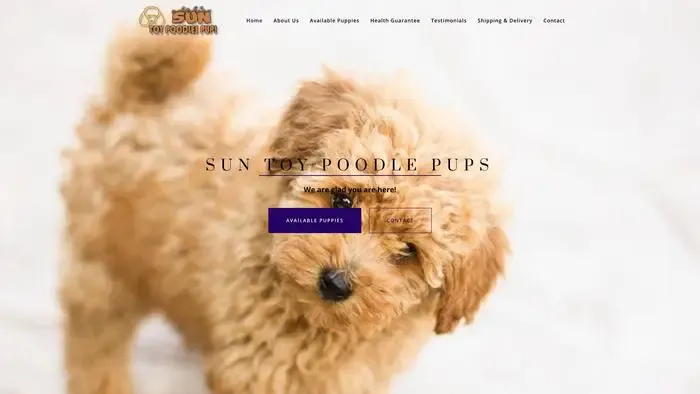 Screenshot of