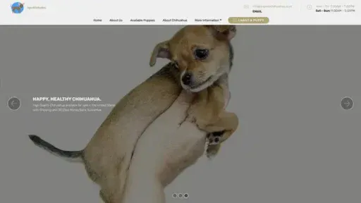 Screenshot of