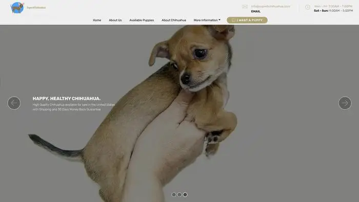 Screenshot of