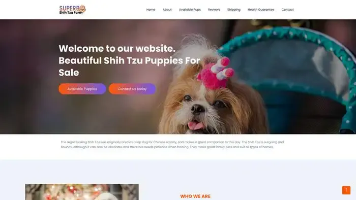 Screenshot of