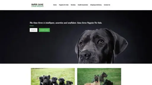 Screenshot of