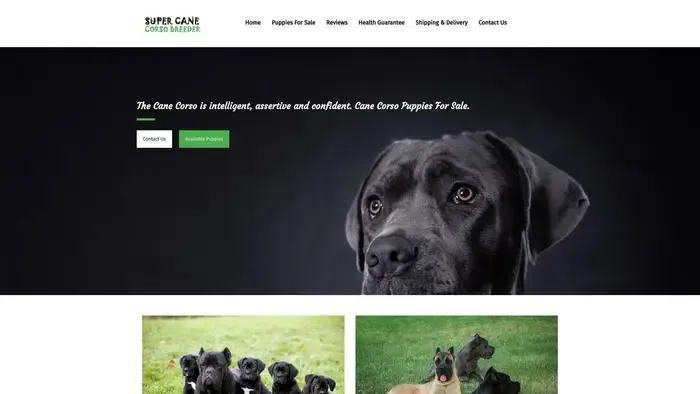 Screenshot of