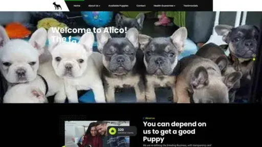 Screenshot of