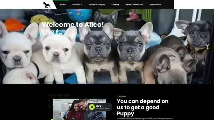 Screenshot of