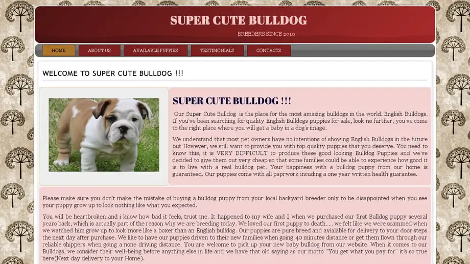 Screenshot of