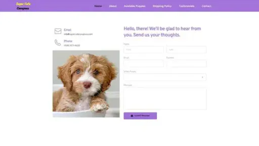 Screenshot of