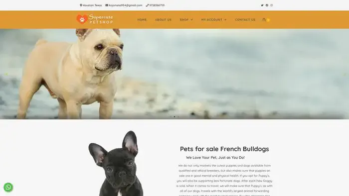 Screenshot of