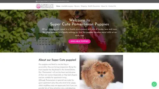 Screenshot of