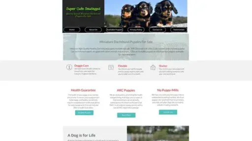 Screenshot of