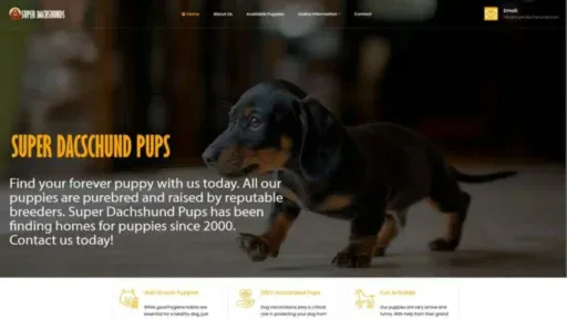Screenshot of||