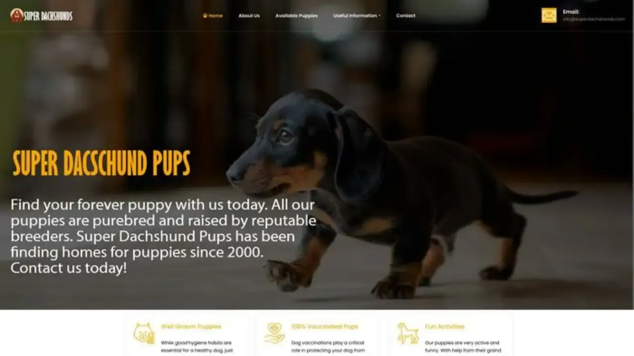 Screenshot of||