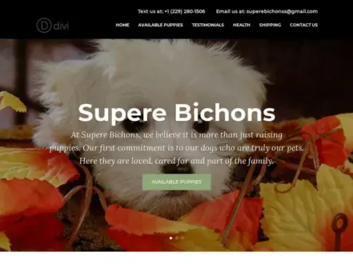 Screenshot of