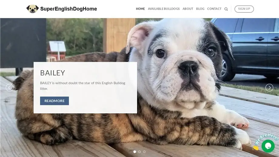 Screenshot of