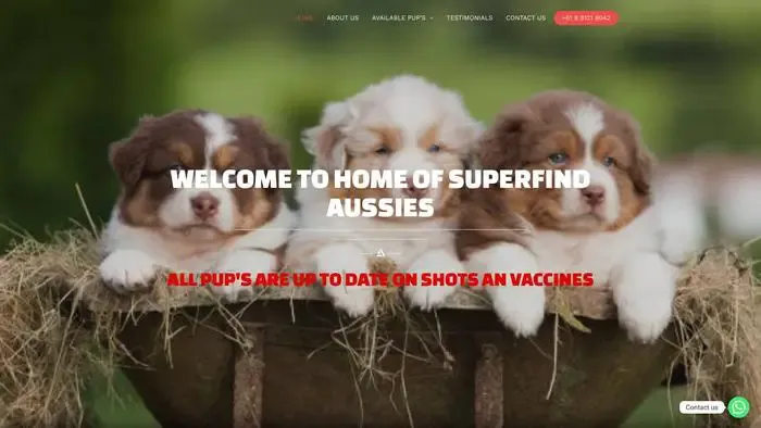 Screenshot of