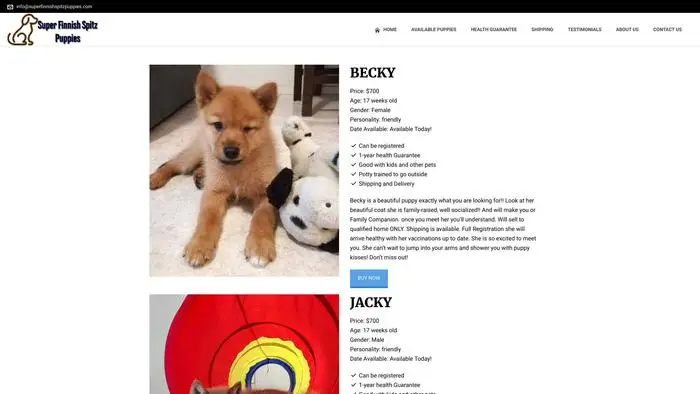 Screenshot of