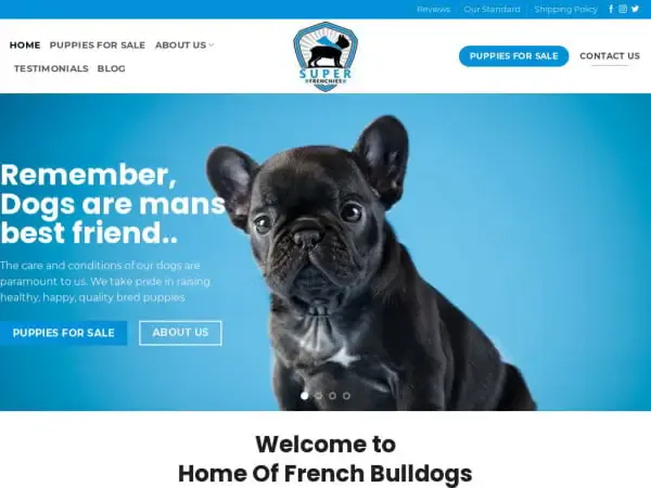 Screenshot of
