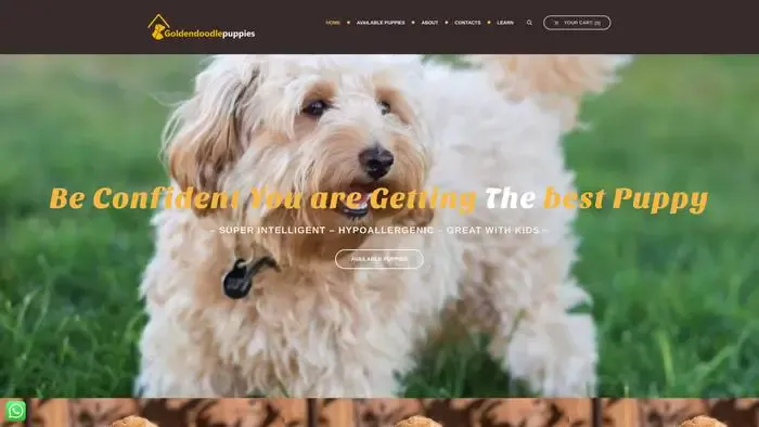 Screenshot of