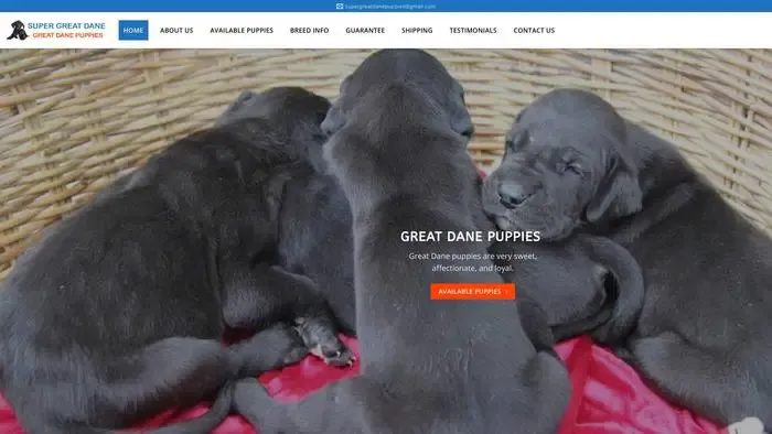 Screenshot of