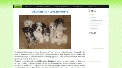Screenshot of