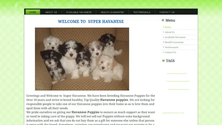 Screenshot of