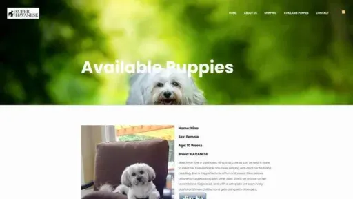 Screenshot of