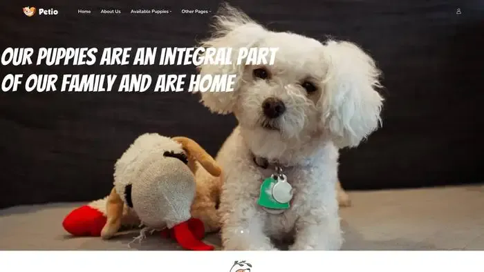 Screenshot of