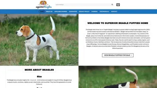 Screenshot of