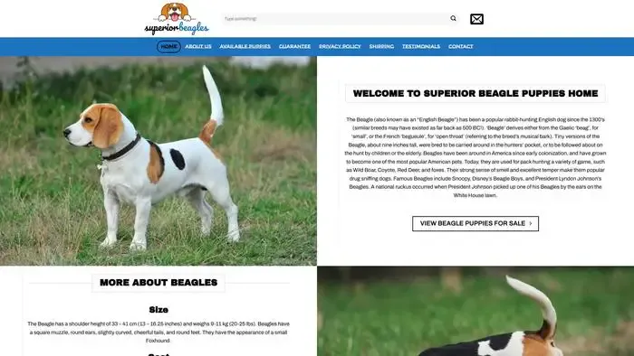 Screenshot of