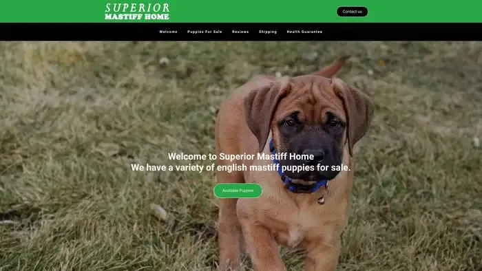 Screenshot of