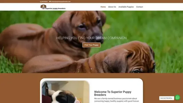 Screenshot of