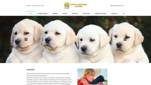 Screenshot of