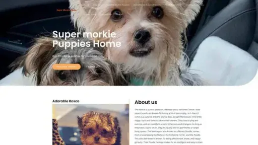 Screenshot of